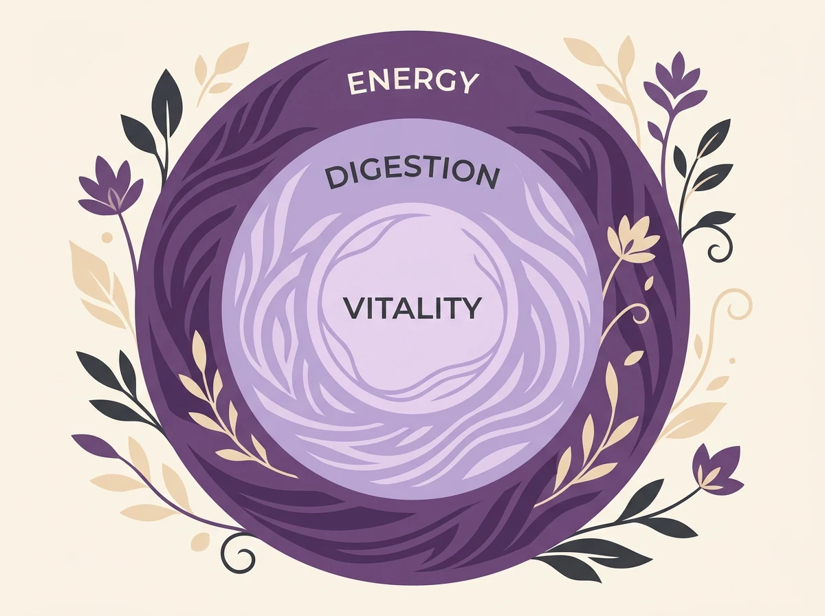 Abstract infographic showing energy, digestion and vitality as concentric circles